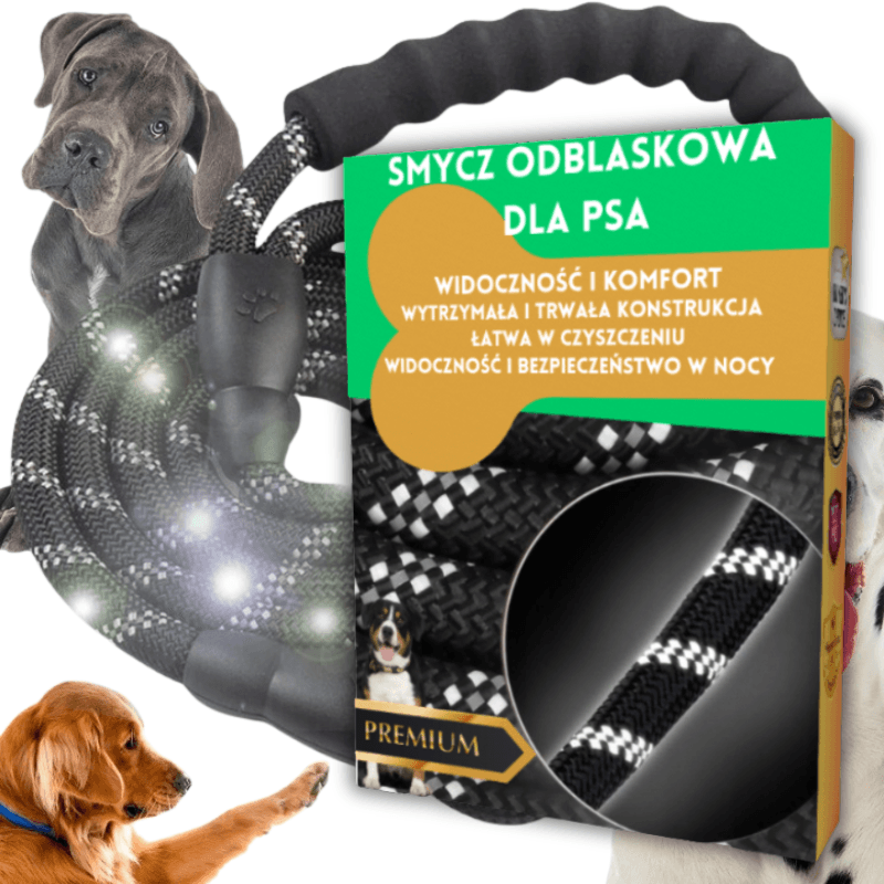 CX5_tds0549_Smycz czarna odblaskowa dla psa
